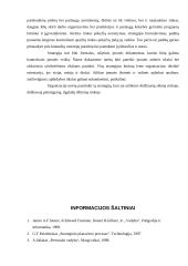 Įmonės strategijų formavimas 16 puslapis