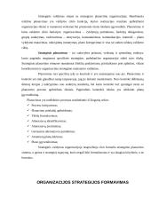 Įmonės strategijų formavimas 5 puslapis