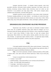 Įmonės strategijų formavimas 6 puslapis