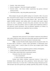 Įmonės strategijų formavimas 7 puslapis