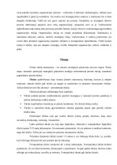 Įmonės strategijų formavimas 8 puslapis