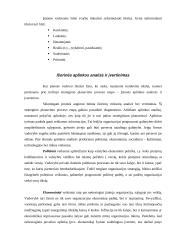 Įmonės strategijų formavimas 9 puslapis