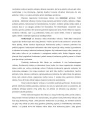 Įmonės strategijų formavimas 10 puslapis