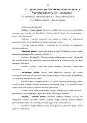 Įmonės strateginis planas 2007-2009 metams: IĮ "Pakeleivis" 11 puslapis