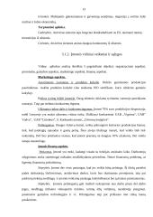 Įmonės strateginis planas 2007-2009 metams: IĮ "Pakeleivis" 12 puslapis