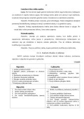 Įmonės strateginis planas 2007-2009 metams: IĮ "Pakeleivis" 13 puslapis