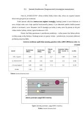 Įmonės strateginis planas 2007-2009 metams: IĮ "Pakeleivis" 15 puslapis