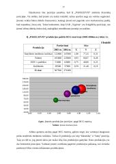 Įmonės strateginis planas 2007-2009 metams: IĮ "Pakeleivis" 16 puslapis