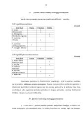 Įmonės strateginis planas 2007-2009 metams: IĮ "Pakeleivis" 17 puslapis