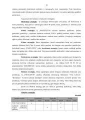 Įmonės strateginis planas 2007-2009 metams: IĮ "Pakeleivis" 18 puslapis