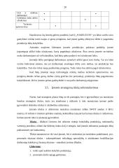 Įmonės strateginis planas 2007-2009 metams: IĮ "Pakeleivis" 19 puslapis