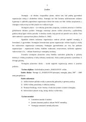 Įmonės strateginis planas 2007-2009 metams: IĮ "Pakeleivis" 2 puslapis