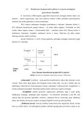 Įmonės strateginis planas 2007-2009 metams: IĮ "Pakeleivis" 6 puslapis
