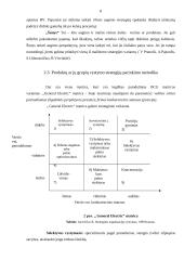 Įmonės strateginis planas 2007-2009 metams: IĮ "Pakeleivis" 7 puslapis