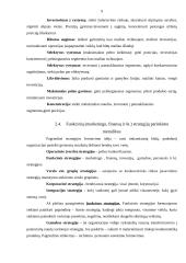 Įmonės strateginis planas 2007-2009 metams: IĮ "Pakeleivis" 8 puslapis