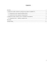 Konstitucinės teisės samprata (referatas)