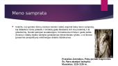 Kas yra romanika? 13 puslapis
