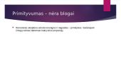 Kas yra romanika? 14 puslapis