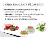 Kofeino išskyrimas 3 puslapis