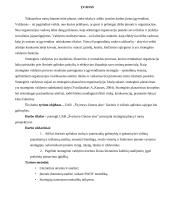 Įmonės strateginis planas: UAB "Švyturys-Utenos alus" 2 puslapis