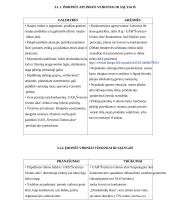 Įmonės strateginis planas: UAB "Švyturys-Utenos alus" 11 puslapis