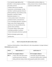 Įmonės strateginis planas: UAB "Švyturys-Utenos alus" 12 puslapis