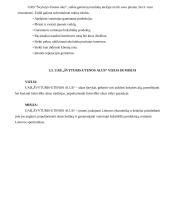 Įmonės strateginis planas: UAB "Švyturys-Utenos alus" 15 puslapis