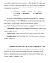 Įmonės strateginis planas: UAB "Švyturys-Utenos alus" 7 puslapis