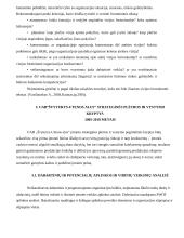 Įmonės strateginis planas: UAB "Švyturys-Utenos alus" 10 puslapis