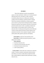 Lyderystės raiška gamybinėje įmonėje 2 puslapis