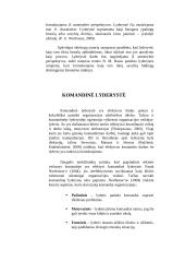 Lyderystės raiška gamybinėje įmonėje 4 puslapis