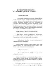 Lyderystės raiška gamybinėje įmonėje 6 puslapis