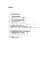 Įmonės vaidmuo tarptautinėje rinkoje 2 puslapis