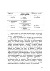 Įmonės vaidmuo tarptautinėje rinkoje 11 puslapis