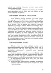 Įmonės vaidmuo tarptautinėje rinkoje 14 puslapis