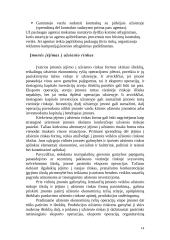 Įmonės vaidmuo tarptautinėje rinkoje 15 puslapis