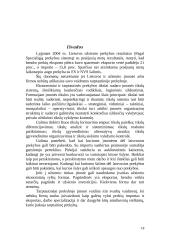 Įmonės vaidmuo tarptautinėje rinkoje 19 puslapis