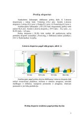 Įmonės vaidmuo tarptautinėje rinkoje 5 puslapis
