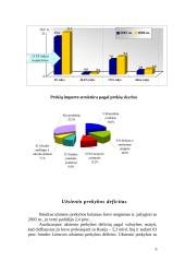 Įmonės vaidmuo tarptautinėje rinkoje 7 puslapis