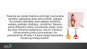 Kairiarankystė 15 puslapis