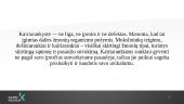 Kairiarankystė 2 puslapis