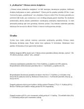 XIX-XX a. asmenybių įamžinimas Vilniaus miesto paminkluose 7 puslapis