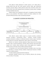 Įmonės valdymo analizė: UAB "Bikuvos" prekyba 7 puslapis