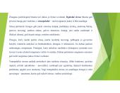 Stresas, jo priežastys ir būdai jį įveikti (skaidrės) 11 puslapis