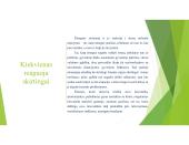 Stresas, jo priežastys ir būdai jį įveikti (skaidrės) 12 puslapis