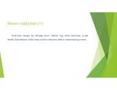 Stresas, jo priežastys ir būdai jį įveikti (skaidrės) 16 puslapis