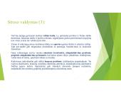 Stresas, jo priežastys ir būdai jį įveikti (skaidrės) 18 puslapis