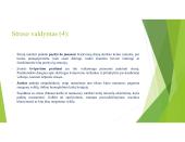 Stresas, jo priežastys ir būdai jį įveikti (skaidrės) 19 puslapis