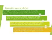 Stresas, jo priežastys ir būdai jį įveikti (skaidrės) 3 puslapis