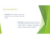 Stresas, jo priežastys ir būdai jį įveikti (skaidrės) 5 puslapis